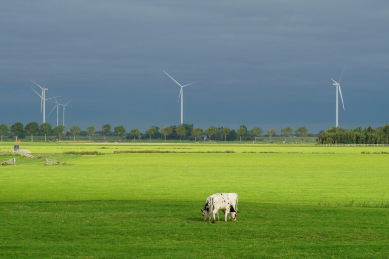 windpower-1